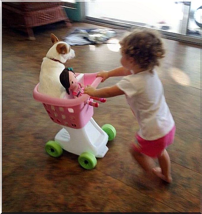 toddler driving dog in toy cart