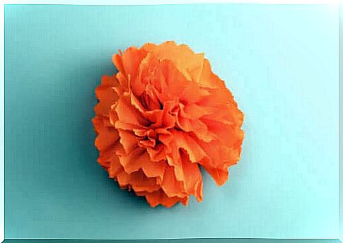 celebrate the arrival of spring: paper flower