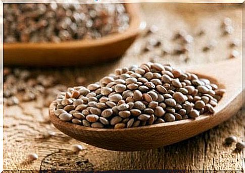 legumes appealing to children: dry beans
