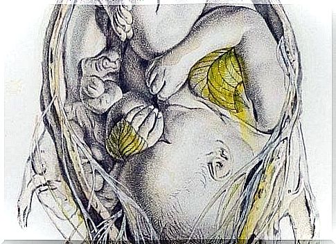Sketch of a baby in mom's tummy.